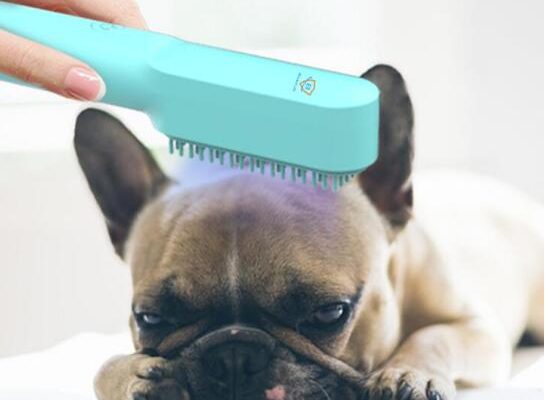 Dongguan Kaise Electronic Technology Co Ltd, Pet UV Germicidal Lamp, Pet Sterilizing Comb, Comb Sterilization, Pet Disinfection Lamp, PET UV Lamp Comb, IPSKY KS-20010, Pet UV Light, Dog UV Light Comb,