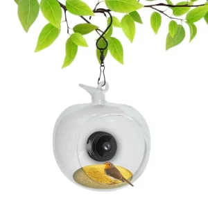 Smart Bird Feeder With Camera Apple Shape Backyard Garden Bird Watching Built-in Microphone Bird Feeder Auto Capture Birds And