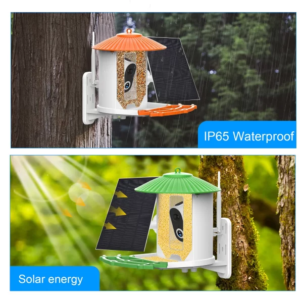 Smart Bird Feeder with Camera APP Night Vision 1080P HD Wireless Solar Panel AI Bird Identify IP65 Waterproof Outdoor Birdhouse - Image 4