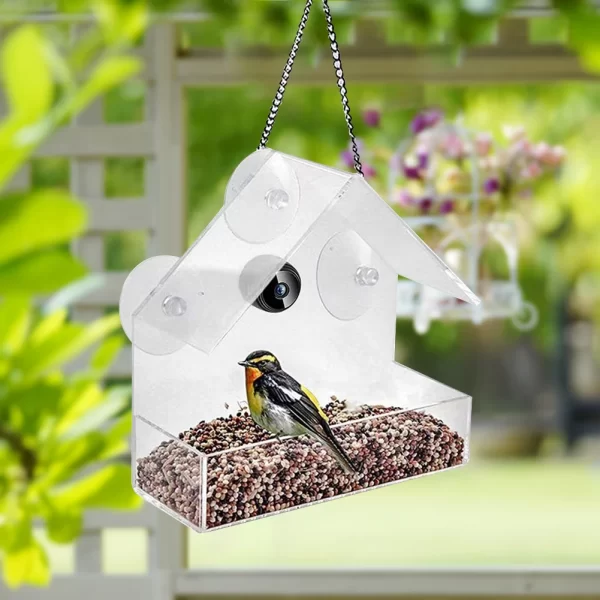 Smart Bird House Pet Feeder Acrylic with Camera Home Pet Bird Feeder Transparent 1080P HD Easy Installation for Outdoor Garden - Image 3