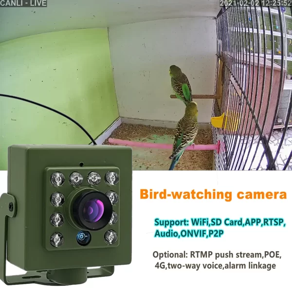 Green Wifi Bird Box Camera Audio 1920P 1080P IR CUT Night Vision RTSP FTP Mini IP IPC Pet Nest Bird Watching 2.8mm lens Camhi - Image 3