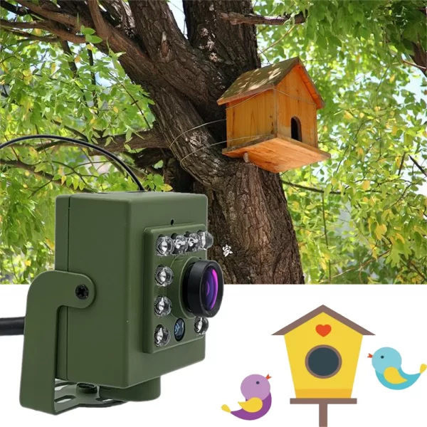 Green Wifi Bird Box Camera Audio 1920P 1080P IR CUT Night Vision RTSP FTP Mini IP IPC Pet Nest Bird Watching 2.8mm lens Camhi - Image 2