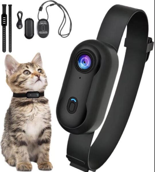 The ultra-compact 4K HD Pet Collar Mini Camera attached securely to a standard dog collar.